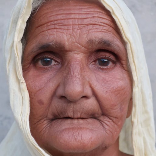 Balbir Kaur is a Homemaker, cattle-rearer from Barah, Budhlada, Mansa, Punjab