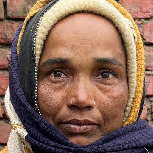 Manjoola Khatoon is a Owns a food cart from Phulwari, Phulwari Sharif, Patna, Bihar