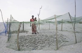 ভগ্ন ধনুঃ ধনুষকোড়িৰ বিস্মৃত লোকসকল